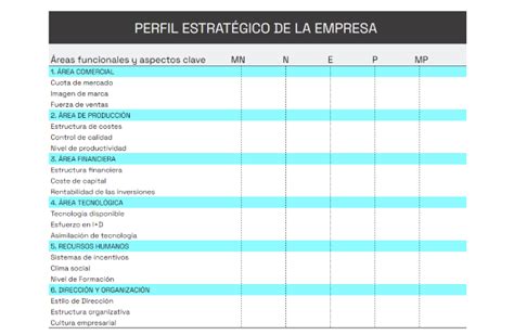 Definición del Perfil Estratégico de la Empresa STAMINA