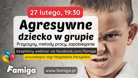 Webinar Agresywne Dziecko W Grupie Famiga