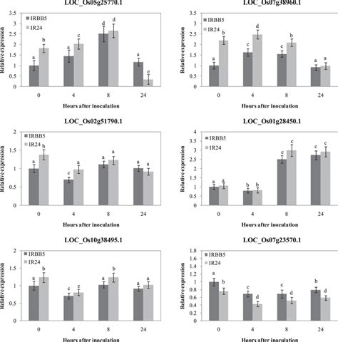 Expression Analysis Of OsWRKY45 And SA Responsive Genes Including