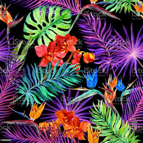 Tropical Design For Fashion Exotic Leaves Orchid Flowers In Neon Light