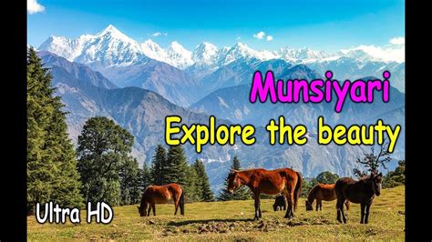 Munsiyari Uttarakhand Trip Best Visit Place In India Scenic Hill