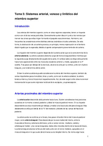 Tema 5 Vascularizacion De La Extremidad Superior 2 Pdf