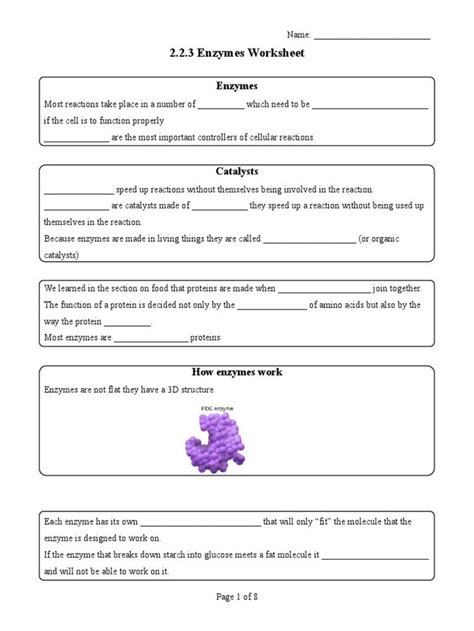 Enzymes Reading And Worksheet