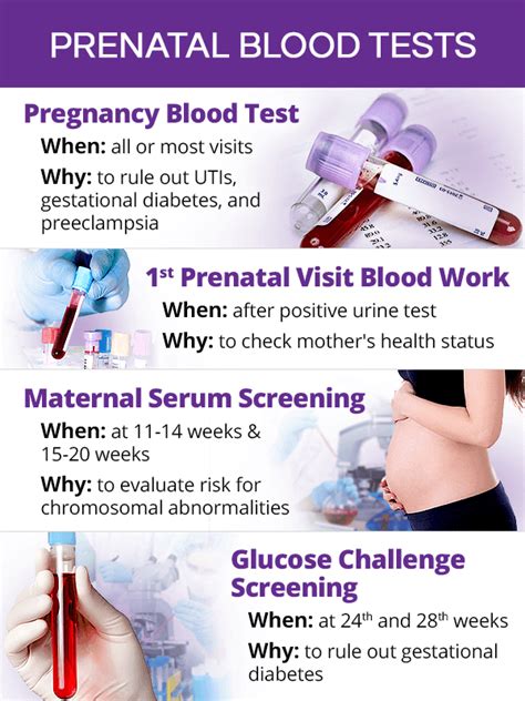 Urine Pregnancy Test Before Period At Maria Wiseman Blog