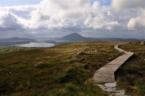 Panorama Des Montagnes De La Terre Marécageuse Et De La Lande Du Parc