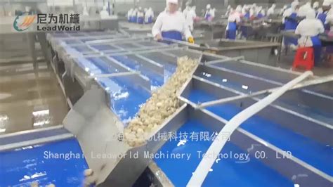 Automatic Mushroom Production Equipment,Mushroom Canning Line - Buy Mushroom Production,Mushroom ...