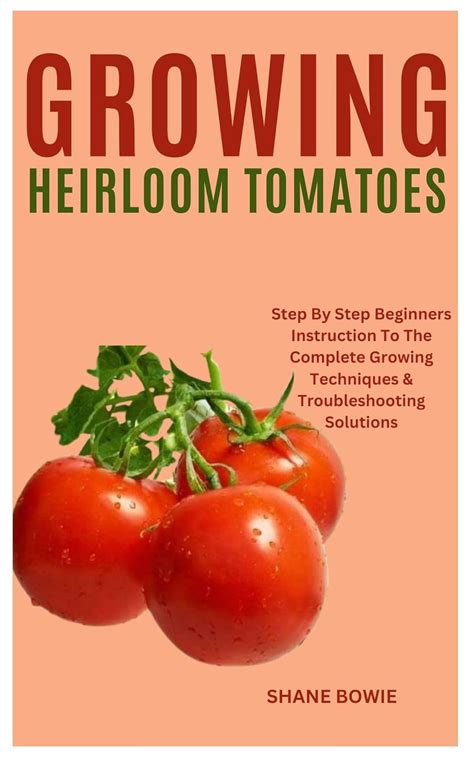 Growing Heirloom Tomatoes Step By Step Beginners Instruction To The