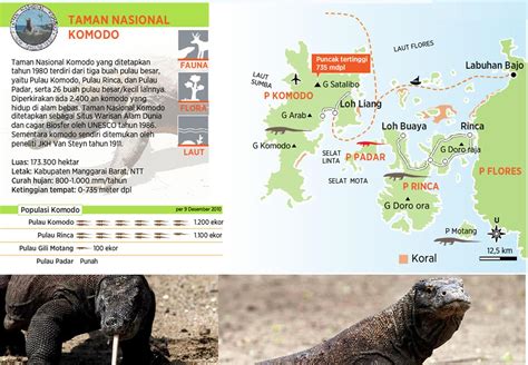 Persebaran Komodo Meteor