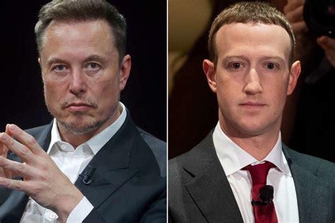 Elon Musk And Mark Zuckerberg Seemingly Agree To Hold Cage Match In