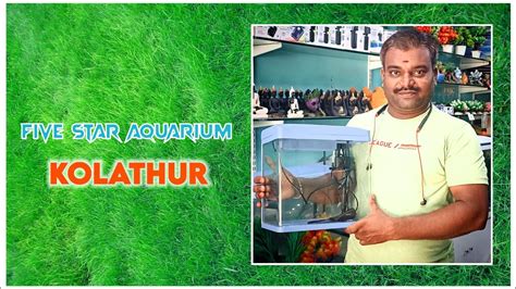 FIVE STAR AQUARIUM In Kolathur Five Star Brand YouTube