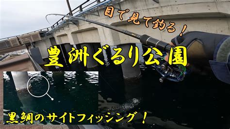 ヘチ釣り 黒鯛を目視してから釣る方法をお伝えします！！ Youtube