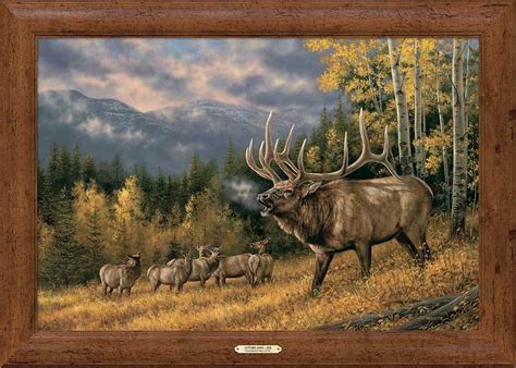 Wildlife Art Prints Plus Original Paintings With A Wide Selection From