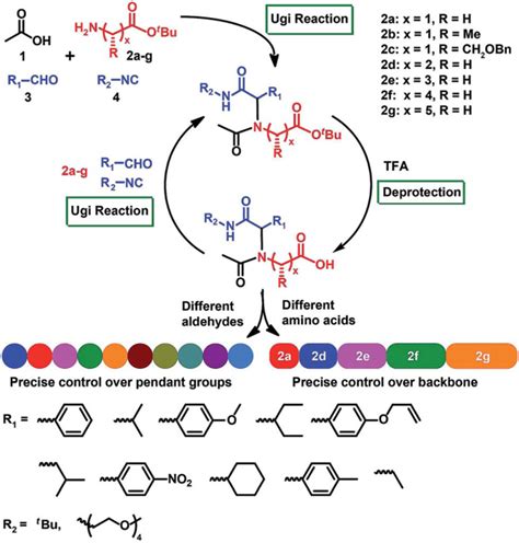 Synthesis Strategy Towards Sequence Defined Polyamino Acids Via Amino