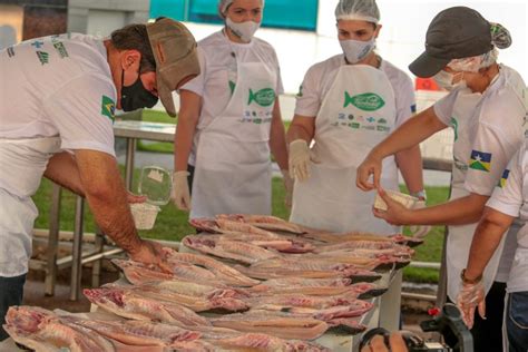 Agricultura Governo Do Estado Promove Festival Do Tambaqui Neste