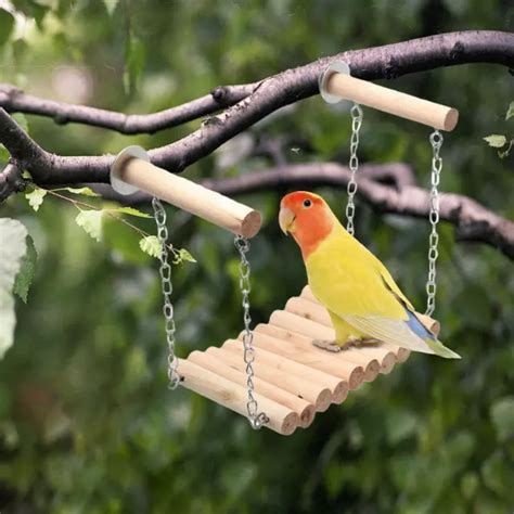 OISEAU PERROQUET ÉCHELLE perche perruche Cage hamac oiseau Cage jouet