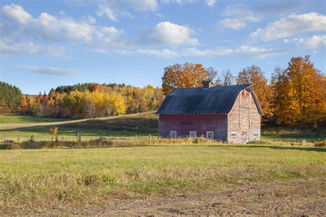 Michigan Republicans to China: Stop buying our farms. Experts: Threat ...