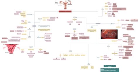 Tema 40 Endometriosis Y Adenomiosis