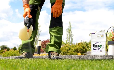 Beste Onkruidverdelger Tuin Sport En Buitengereedschap