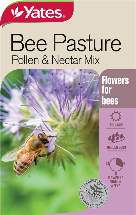 Bee Pasture Pollen And Nectar Mix Garden Seeds Yates Australia