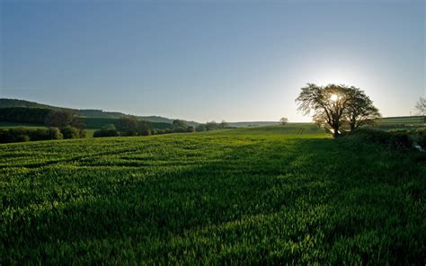 Fond D Cran Lumi Re Du Soleil Des Arbres Paysage Colline La