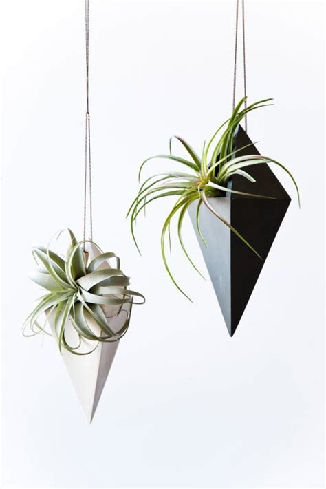 The Best Stylish Indoor Hanging Planters Of 2018 Apartment Therapy