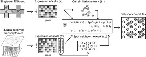 Deciphering The Spatial Modular Patterns Of Tissues By Integrating