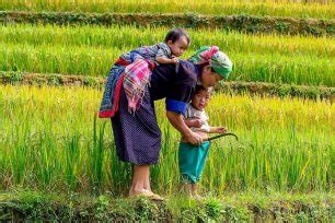 Regenerasi Petani Dan Hari Tani Media Tata Ruang