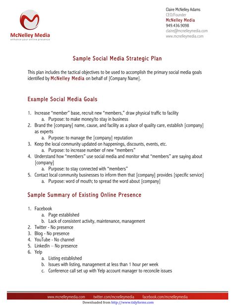 10 Social Media Business Plan Examples - PDF