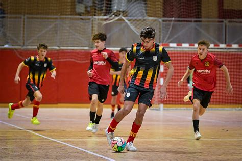 Fcf Tarda Damistosos De Les Seleccions Catalanes De Futbol Sala