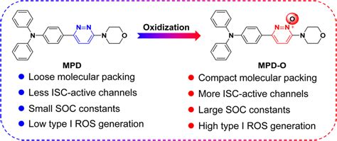 Illustration Of The Oxidization Strategy To Enhance Type I ROS