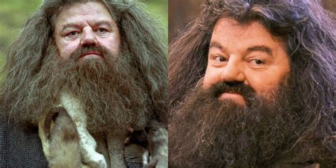 Harry Potter Hagrids 10 Funniest Quotes Ranked