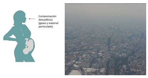 Contaminación En Cdmx Deja Huellas En El Adn De Recién Nacidos Unam