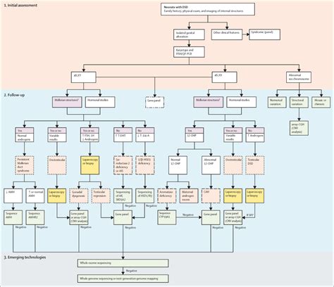 A Clinical Algorithm To Diagnose Differences Of Sex Development The Lancet Diabetes