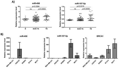 MiR 498 And MiR 187 5p Expression Levels In Breast Tumors And Breast