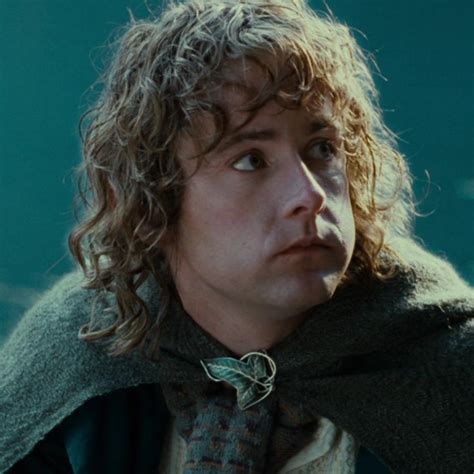 The Lord of the Rings: Pippin Took