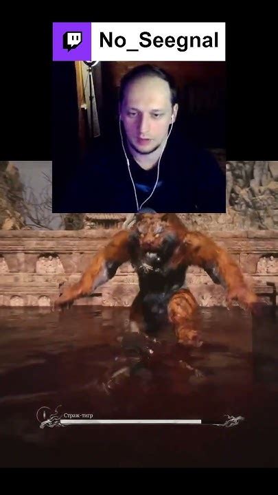 Страж - тигр 🐅 #стример #игрынапк #вуконг #wukong - YouTube