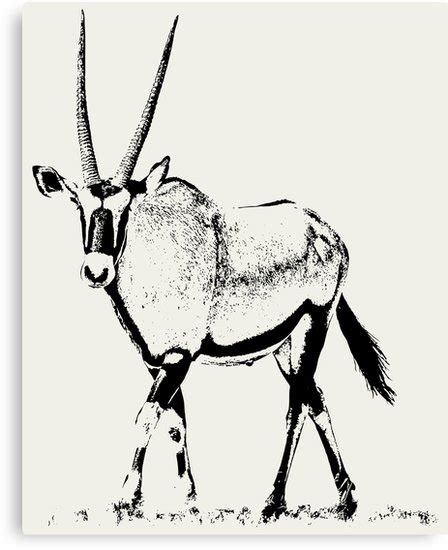 Gemsbok Drawing At Explore Collection Of Gemsbok