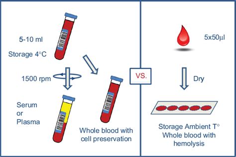 Current And Future Use Of Dried Blood Spot Analyses In Clinical