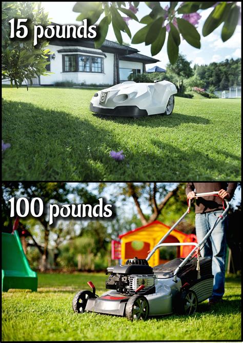 How Much Does A Lawn Mower Weigh A Comprehensive Guide Home Greenery Guides