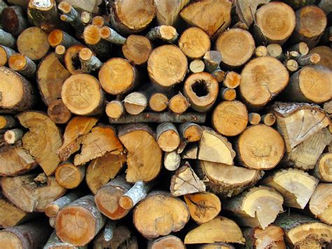 Free Photo Firewood Pile Wood Village Sawn Free Image On Pixabay