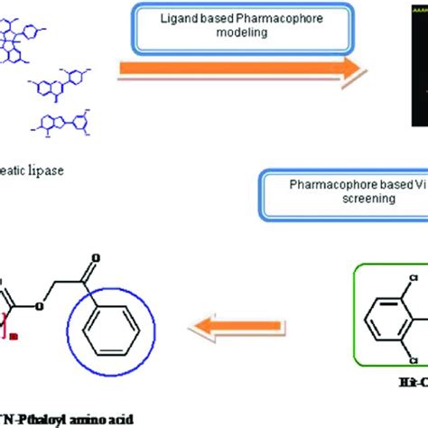 Scheme Synthesis Of Phenacyl Esters Of N Phthaloyl Amino Acids