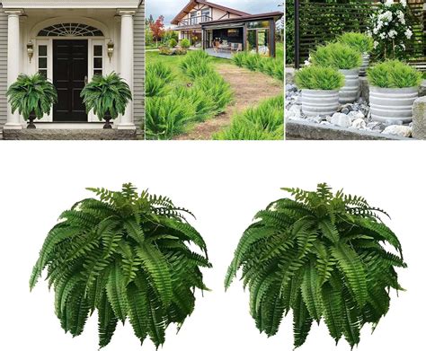 Amazon Lelebear Uv Resistant Lifelike Artificial Boston Fern