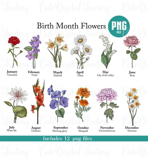 Birth. Month Flowers Clipart Png, Watercolor Floral PNG Bundle, Birth ...