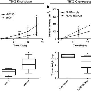 Tbx Promotes Anchorage Independent Growth And In Vivo Tumour Forming