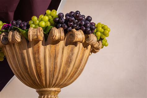 Main Greek Grapes Varieties Greece Foodies