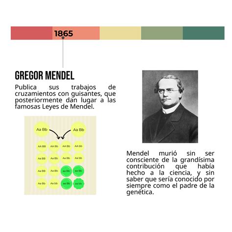 Actualizar Imagen Biografia De Mendel Padre De La Genetica