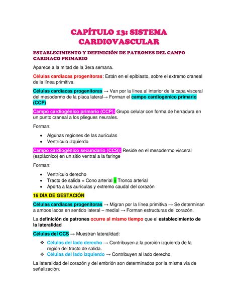 Cap Tulo Sistema Cardiovascular Embriolog A Langman Cap Tulo