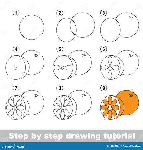 Tutorial Del Dibujo Naranja Ilustraci N Del Vector Ilustraci N De