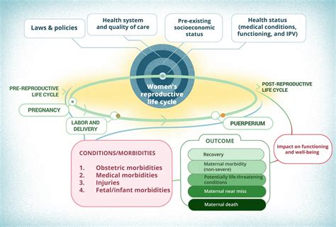 A New Conceptual Framework For Maternal Morbidity Filippi 2018