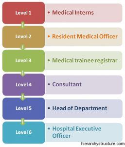 Medical Career Hierarchy | Career Hierarchy Structure